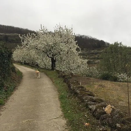 Εξοχικό σπίτι El Capricho Del Jerte Casas del Castañar